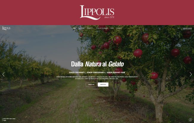 pronto il nuovo sito web di lippolis gelati di putignano in puglia